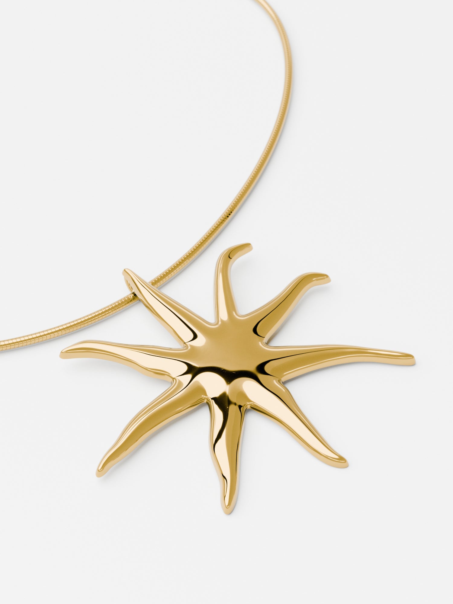 NASZYJNIK STARFISH